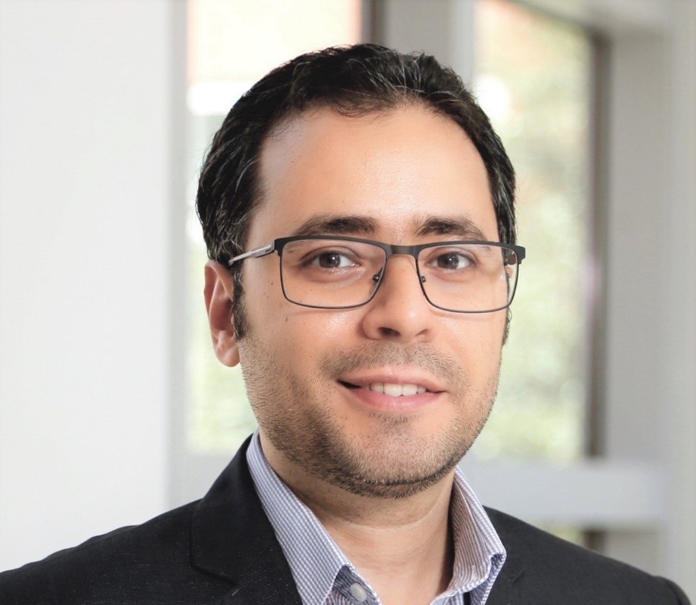 Hazem E. Ghoneim